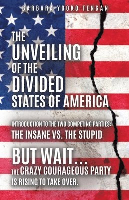 The Unveiling of the Divided States of America 1