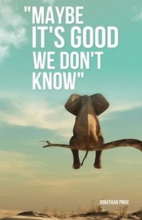 bokomslag "Maybe It's Good We Don't Know"