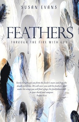 Susan Evans - Feathers, Häftad