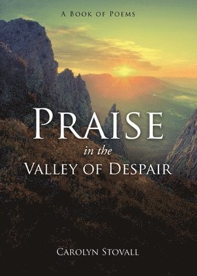 bokomslag PRAISE in the VALLEY OF DESPAIR