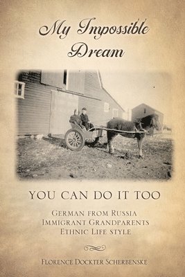 bokomslag My impossible dream: You can do it too