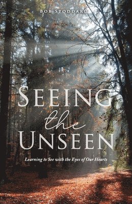 Seeing the Unseen 1