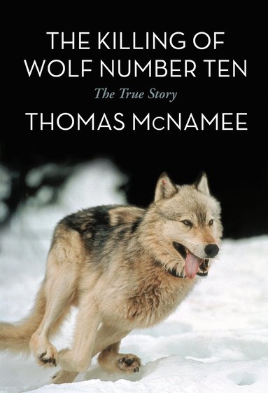 bokomslag Killing of Wolf Number Ten