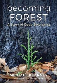 bokomslag Becoming Forest: A Story of Deep Belonging