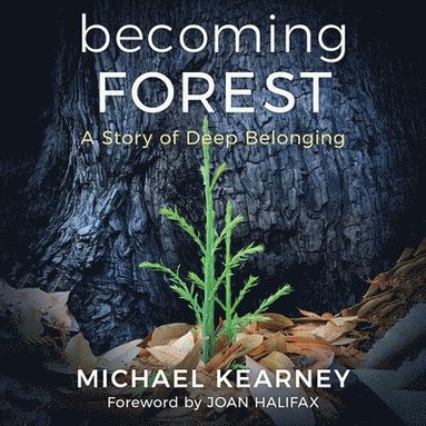 bokomslag Becoming Forest: A Story of Deep Belonging