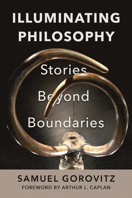 bokomslag Illuminating Philosophy