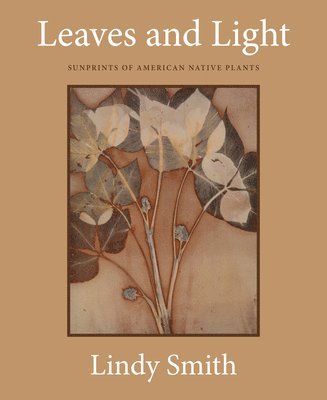 bokomslag Leaves and Light