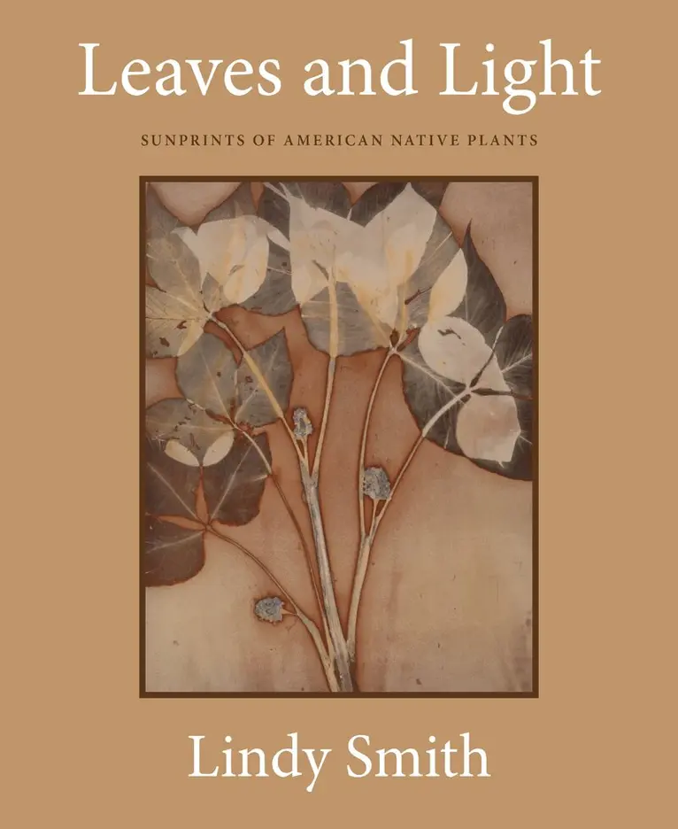 Leaves and Light, Inbunden. Tillgänglighet: Lägg i varukorg