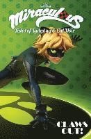 bokomslag Miraculous: Tales of Ladybug and Cat Noir