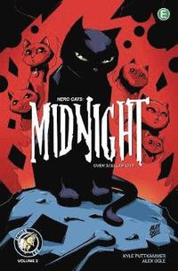 bokomslag Hero Cats: Midnight Over Stellar City Volume 2