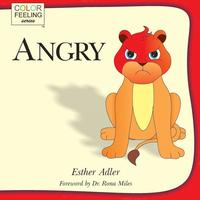 bokomslag Angry