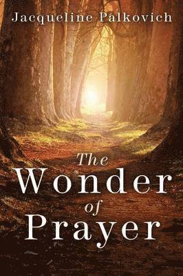 bokomslag Wonder of Prayer