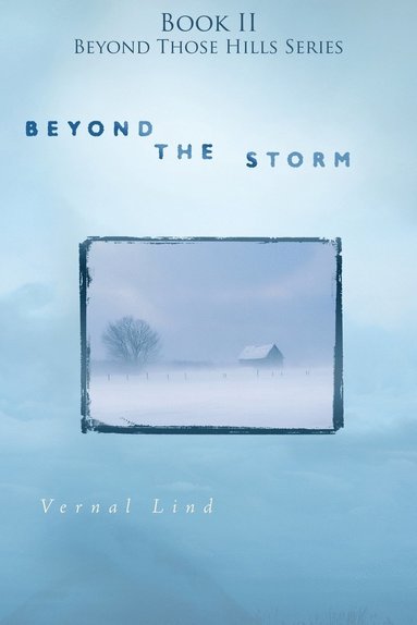 bokomslag Beyond the Storm