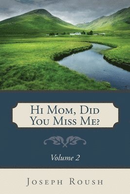 bokomslag Hi Mom, Did You Miss Me? Volume 2