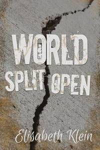 bokomslag World Split Open