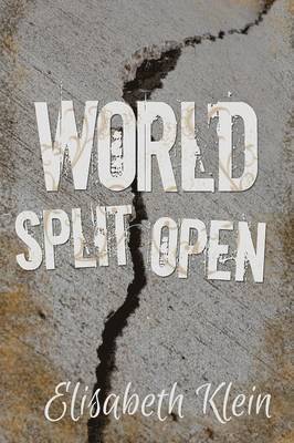 bokomslag World Split Open