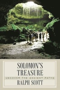 bokomslag Solomon's Treasure