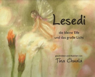 Tina Chwala - Lesedi die kleine Elfe und das große Licht, Inbunden