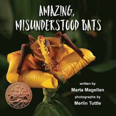 Marta Magellan - Amazing, Misunderstood Bats, Häftad