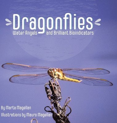 bokomslag Dragonflies