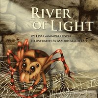 bokomslag River of Light