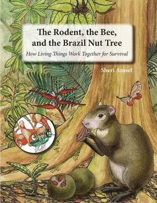 bokomslag The Rodent, the Bee, and the Brazil Nut Tree