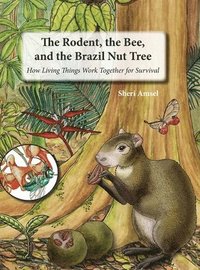 bokomslag The Rodent, the Bee, and the Brazil Nut Tree