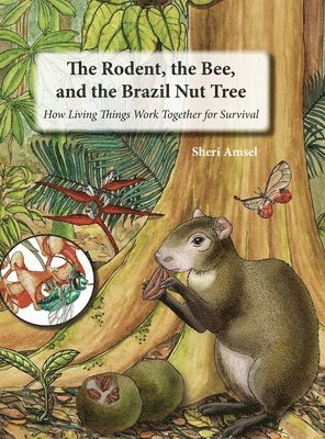 The Rodent, the Bee, and the Brazil Nut Tree 1