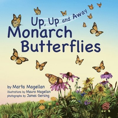 Monarch Butterflies 1