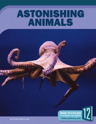 bokomslag Astonishing Animals