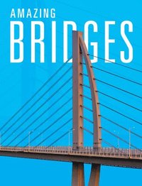bokomslag Amazing Bridges