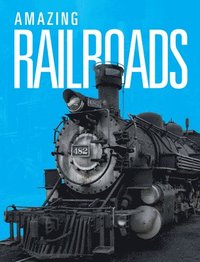 bokomslag Amazing Railways