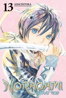 bokomslag Noragami Volume 13