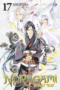 bokomslag Noragami: Stray God 17