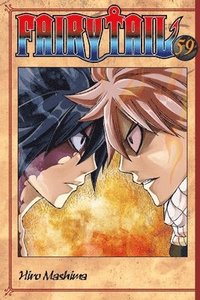 bokomslag Fairy Tail 59