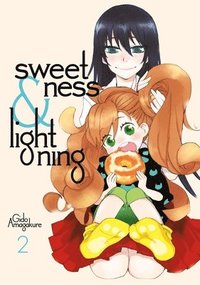 bokomslag Sweetness And Lightning 2