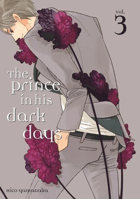 The Prince In His Dark Days 3 1