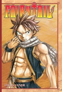 bokomslag Fairy Tail Day Planner 2017 - 2018