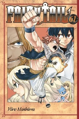 bokomslag Fairy Tail 61