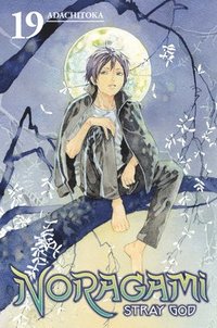 bokomslag Noragami: Stray God 19