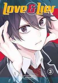 bokomslag Love And Lies 3