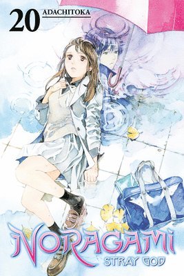 bokomslag Noragami: Stray God 20