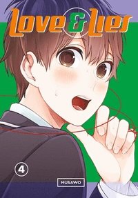 bokomslag Love And Lies 4