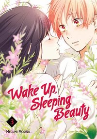 bokomslag Wake Up, Sleeping Beauty 3