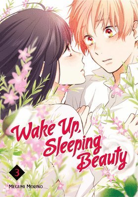 Wake Up, Sleeping Beauty 3 1