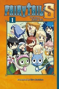 bokomslag Fairy Tail S Volume 1