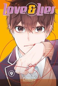 bokomslag Love And Lies 9