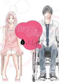 bokomslag Perfect World 1