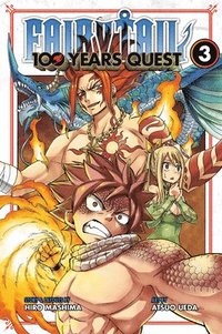 bokomslag Fairy Tail: 100 Years Quest 3