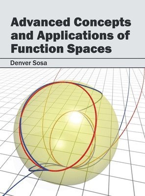 Denver Sosa - Advanced Concepts and Applications of Function Spaces, Inbunden
